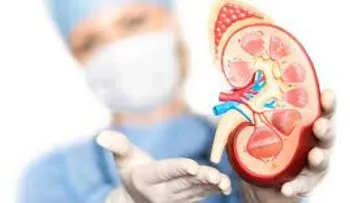 La pielonefritis aguda: dolorosa enfermedad de los riñones que también afecta la pelvis