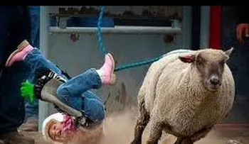Los VIDEOS más graciosos del Mundo 
