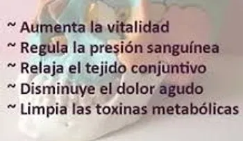 ¿Qué es la terapia craneosacral y cómo funciona?