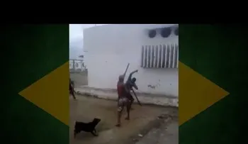 Dos brasileños se pelean como espartanos bajo el apoyo de sus perros