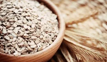 Propiedades y beneficios de la avena
