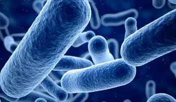  Descubren veneno de serpiente mata bacterias sin afectar células sanas 