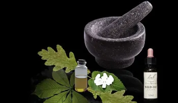 Homeopatía y racismo científico: estas son algunas de las teorías que perjudican a la humanidad