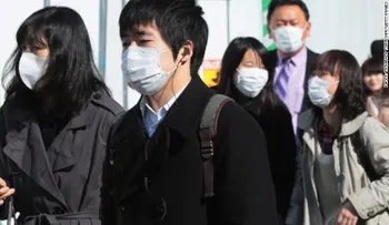 El polen cuesta a Japón 2.000 millones de dólares cada año, ¿por qué?