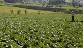 Poder Ejecutivo designa comité coordinador del Fondo de Desarrollo Agropecuario