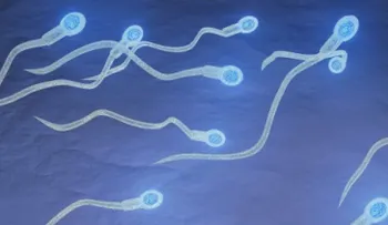 ¿Qué tan saludable es tu semen? Descúbrelo aquí...