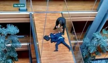 Dos diputados británico se van a los puños; ingresan uno de ellos 