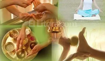 Ayurveda: Curación con yoga y plantas medicinales 