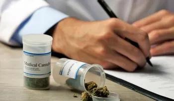 Neuroprotector cannábico ayudará a curar lesiones de médula ósea y craneal