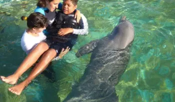 Conoce el sanador nado con delfines en Venezuela