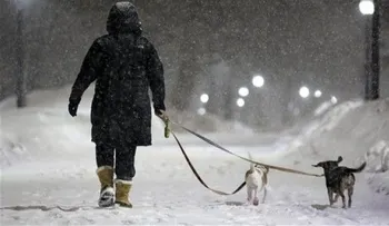 Nueva tormenta cubre de nieve a Nueva Inglaterra 