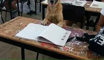 Esta maestra buscó una inausal manera para que sus alumnos sean más atentos