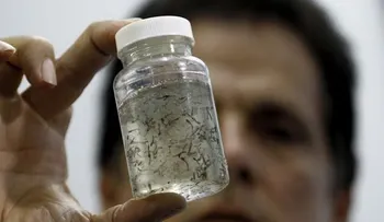 Angustia rodea a â??niños del Zikaâ? un año después del brote de microcefalia en Brasil