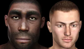 La historia de la cara humana