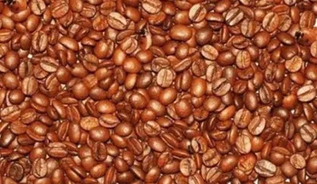 Desafío visual: hay tres bebés escondidos entre cientos de granos de café