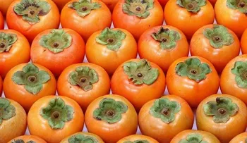 10 alimentos líderes para logar una digestión perfecta 