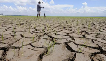 Identifican puntos de inflexiónpor cambio climático capaces de pronosticar desastres naturales