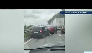 Una familia de patos provoca un accidente en una carretera rusa