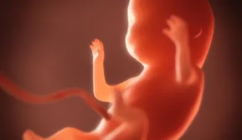 El bebé sueña, rie, llora y hace otras cosas increíbles dentro del útero de su mamá
