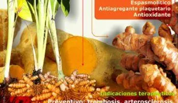 Variedad de remedios con curcuma  (Video) 