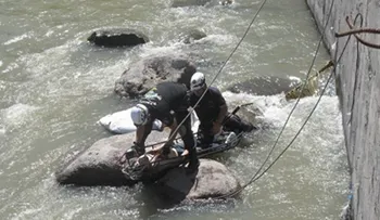 Tres jóvenes se lanzan del puente de la Charles de Gaulle
