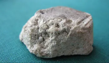 Pareja que encontró una extraña y apestosa roca podría recibir 70.000 dólares por su hallazgo