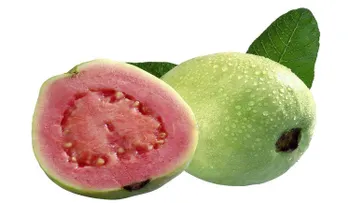 Come guayaba durante 72 hs y mira lo que le sucede en tu organismo. Increíble.