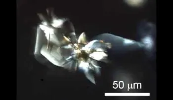 Japón da un paso más hacia robots moleculares propulsados por la luz (VIDEO)