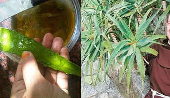 Monje famoso asegura: estos 3 ingredientes matan el cáncer!â?¦ jamás me lo hubiera imaginado ¡wow! es genial