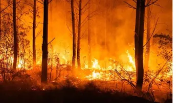 Evacúan pueblos en Francia por incendio en Gironda