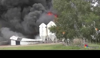 Arden vivos 5.000 cerdos en un criadero en Canadá (VIDEO)