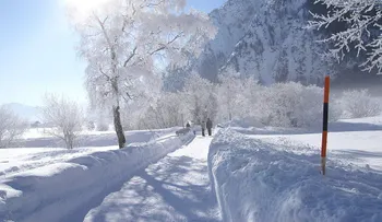 OMS dice que no se sabe si el invierno hace más agresivo al coronavirus