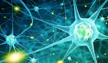 7 formas de mejorar las funciones cognitivas para potenciar el cerebro