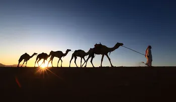 Arabia Saudita ampliará sus mercados para dejar de depender del petróleo