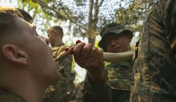 Soldados de EE.UU. y aliados comen cobras y escorpiones en entrenamiento 