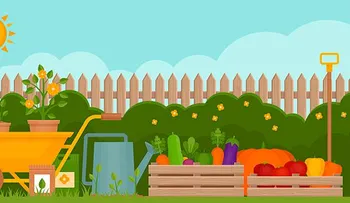 5 cultivos fáciles para empezar un huerto en casa