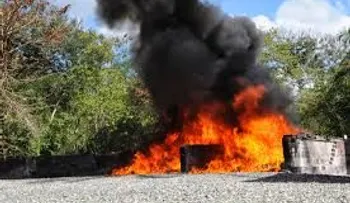 Incineran 193 kilogramos de diferentes drogas