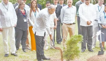 FARC declara cese unilateral del fuego