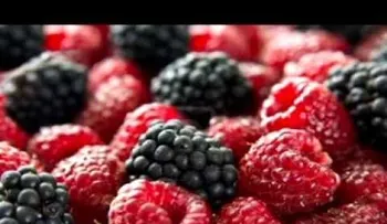 Mora, un antioxidante natural: Propiedades y beneficios para la salud (Video)