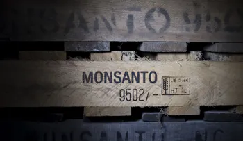 Bayer compra Monsanto por 66.000 millones de dólares