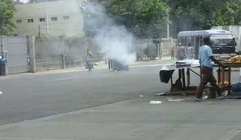 TC dice que Cayo Levantado es patrimonio público