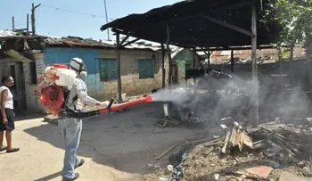 Dos mueren por dengue en Puerto Plata y Jarabacoa 