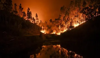 La fotografía que emociona a todo Portugal