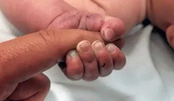 Un perro de Tailandia que se convirtió en un gran héroe por salvar un bebé enterrado vivo por su madre 