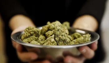 La industria de la marihuana legal en Estados Unidos está en auge