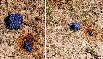 Hallan objeto de origen desconocido en Pilón, Granma; científicos dudan que sea un meteorito