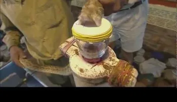 Brutal resultado una gota de veneno de serpiente en nuestra sangre (Video)