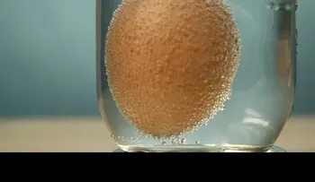 Mira qué pasa si metes una pastilla de jabón en el microondas (Video)