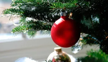 Cómo limpiar el arbolito de Navidad
