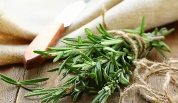 5 infusiones para mantener saludable la circulación